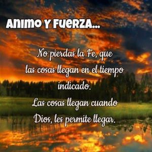 台湾极品高潮内射
